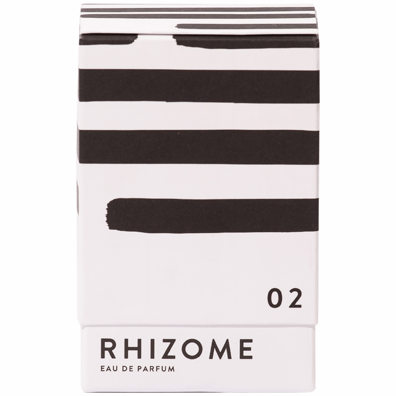 Rhizome