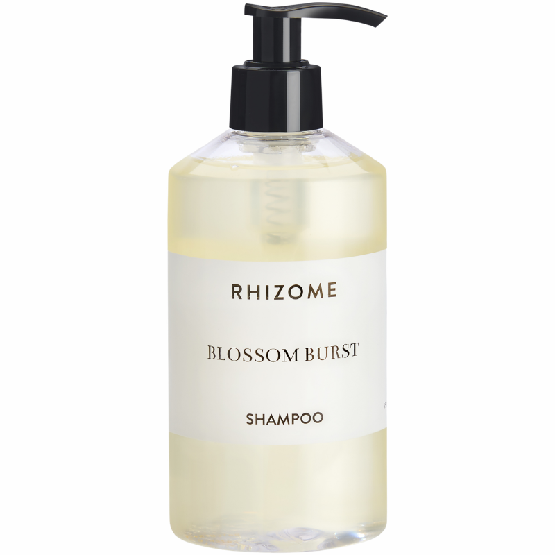 Rhizome