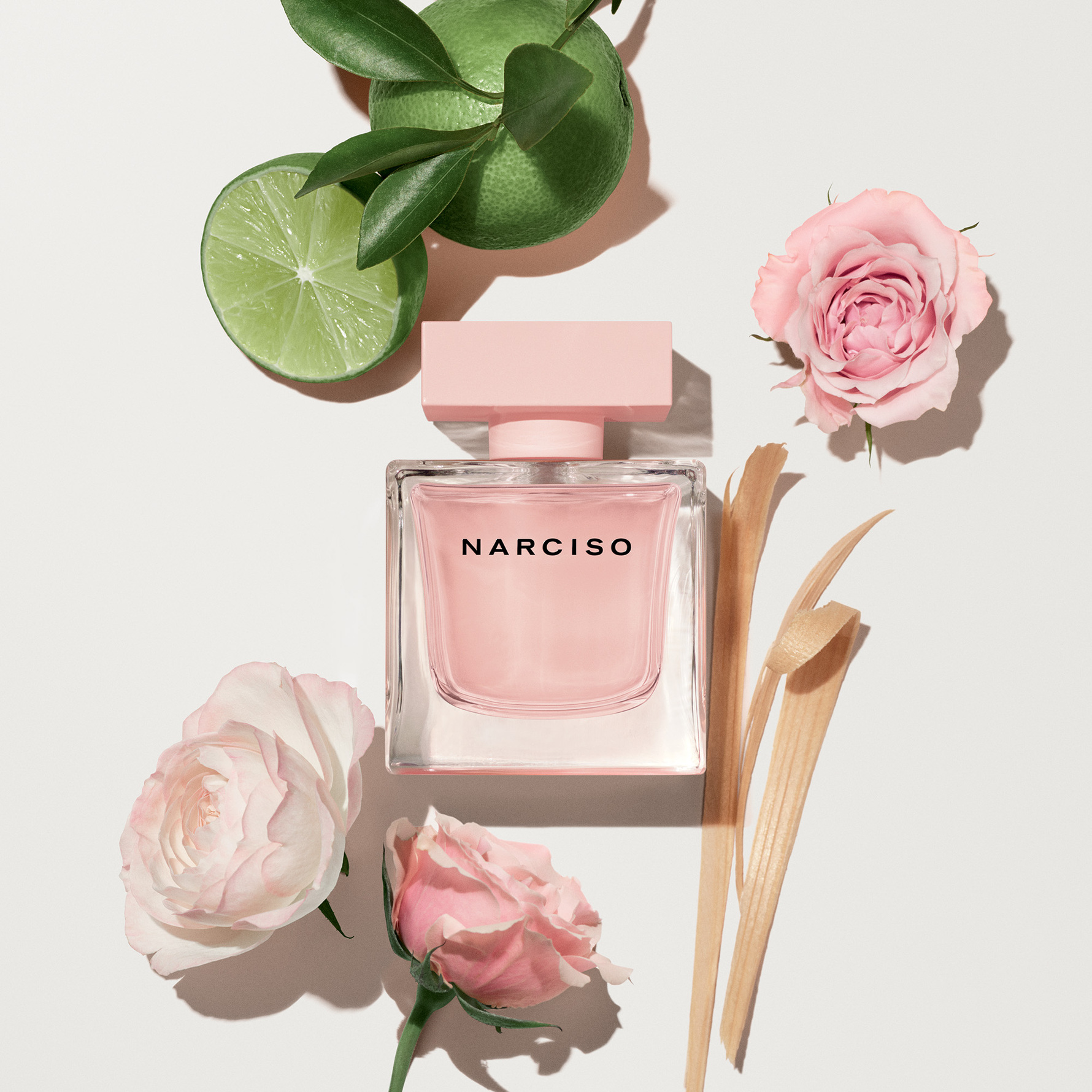 Narciso Rodriguez