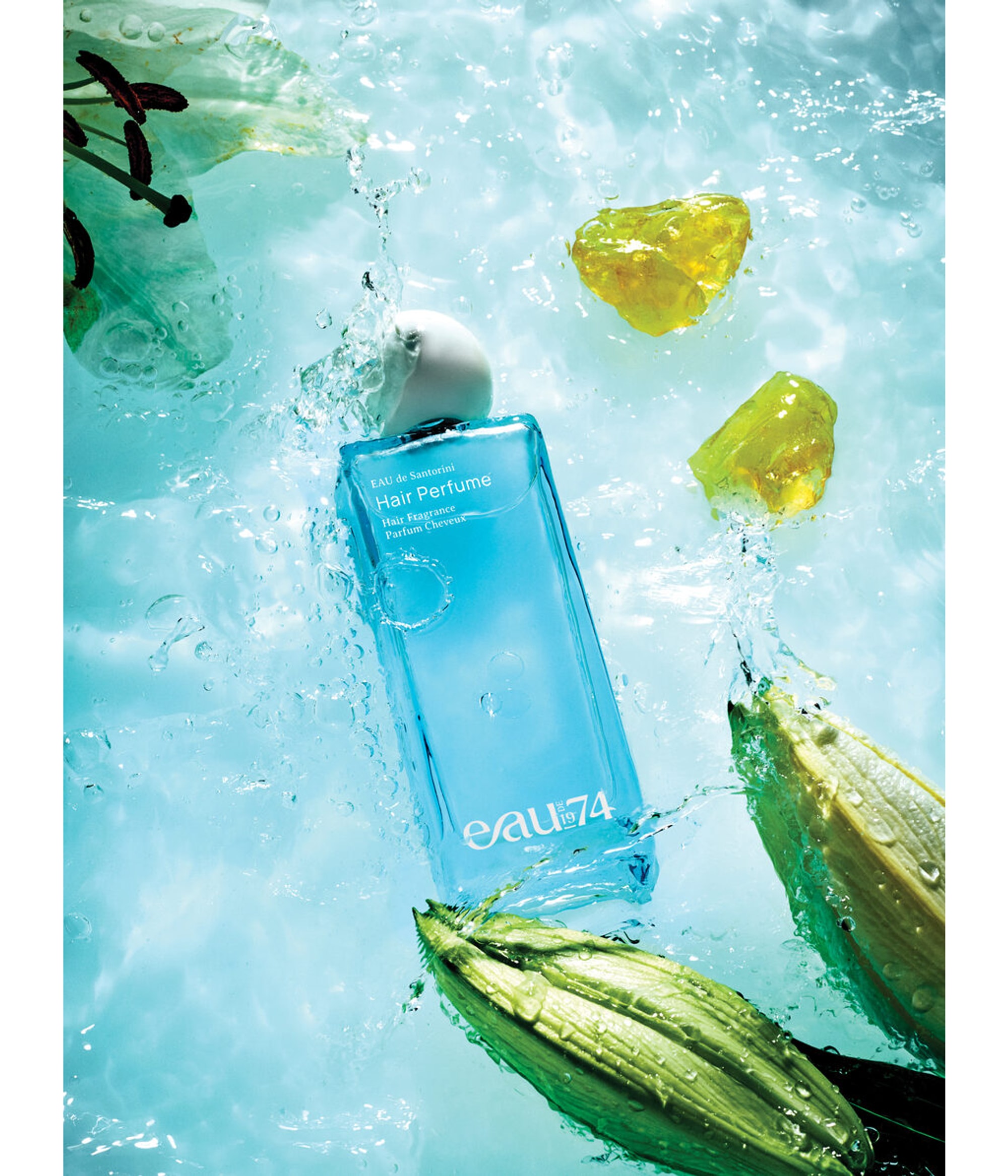 EAU de 1974