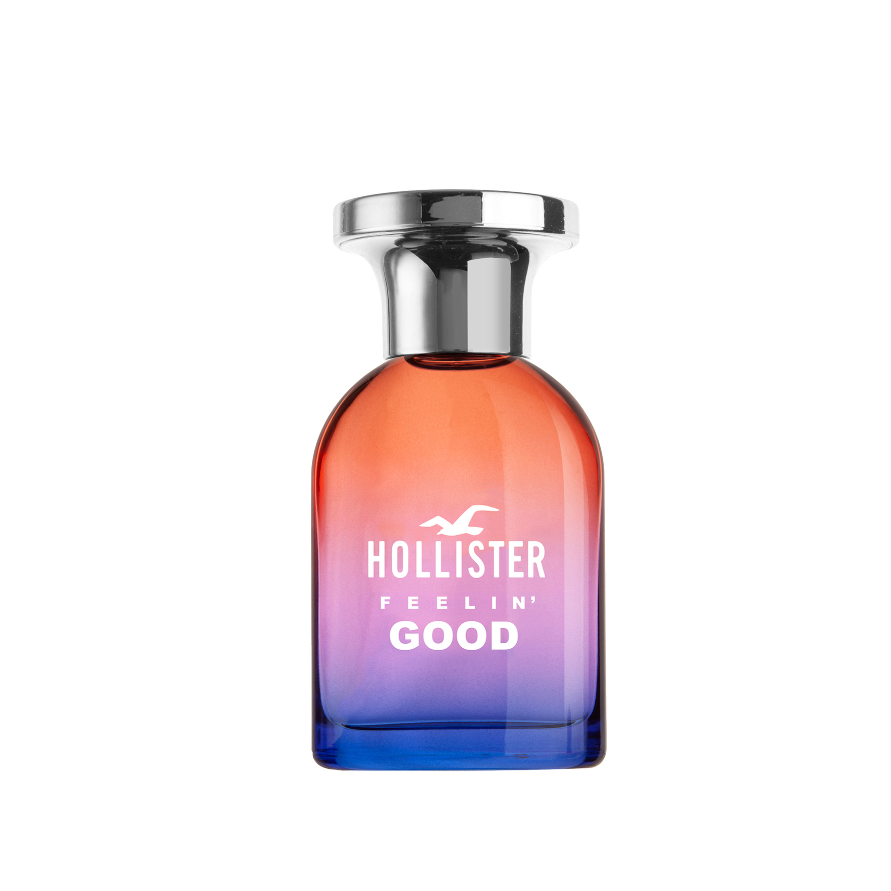Hollister Co.
