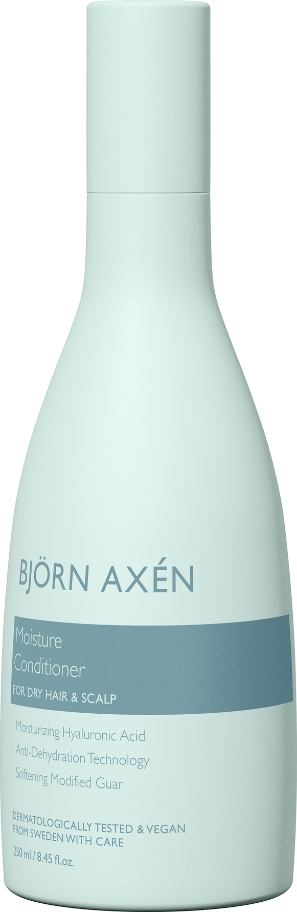 Björn Axén