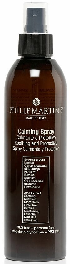 Philip Martin's