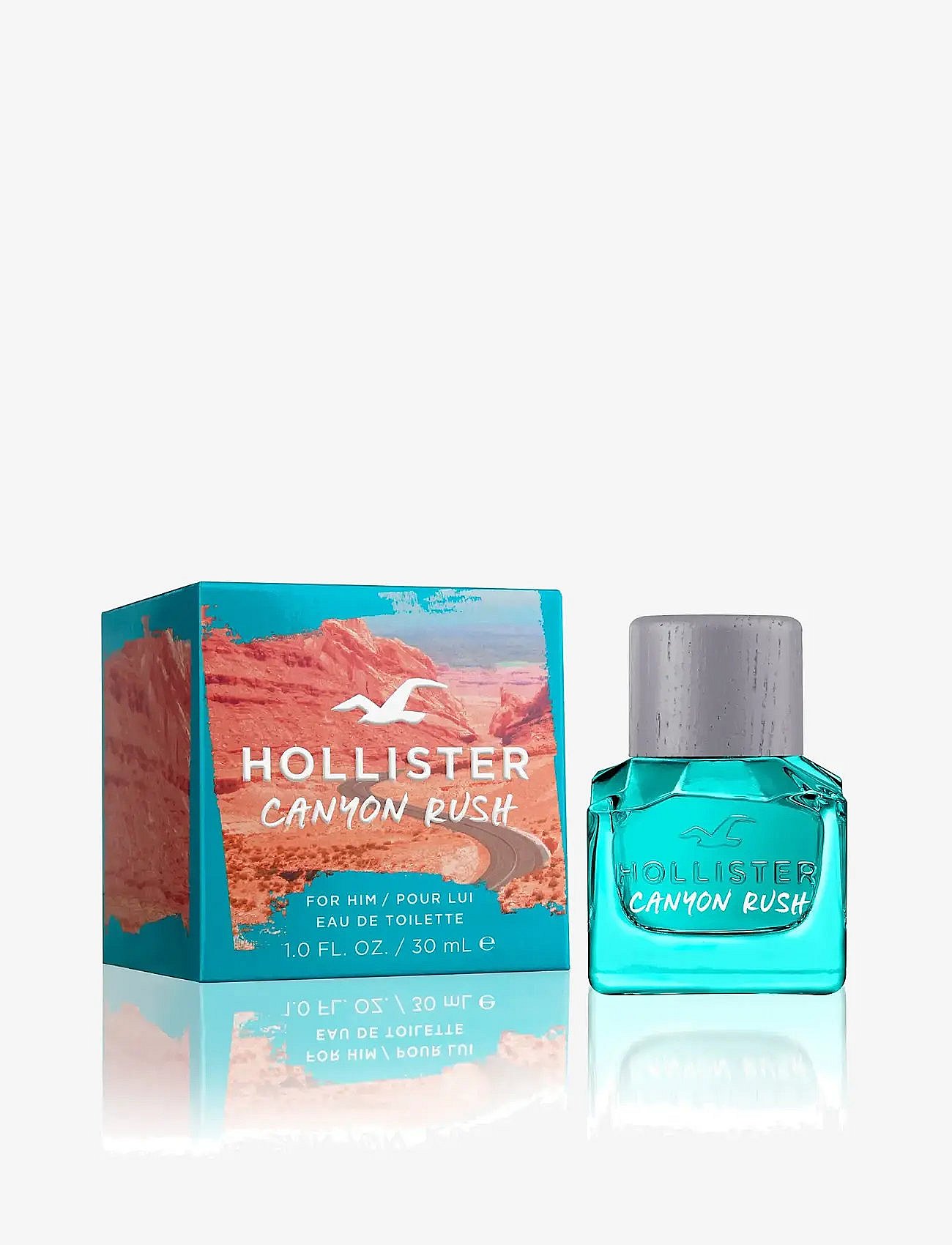 Hollister Co.