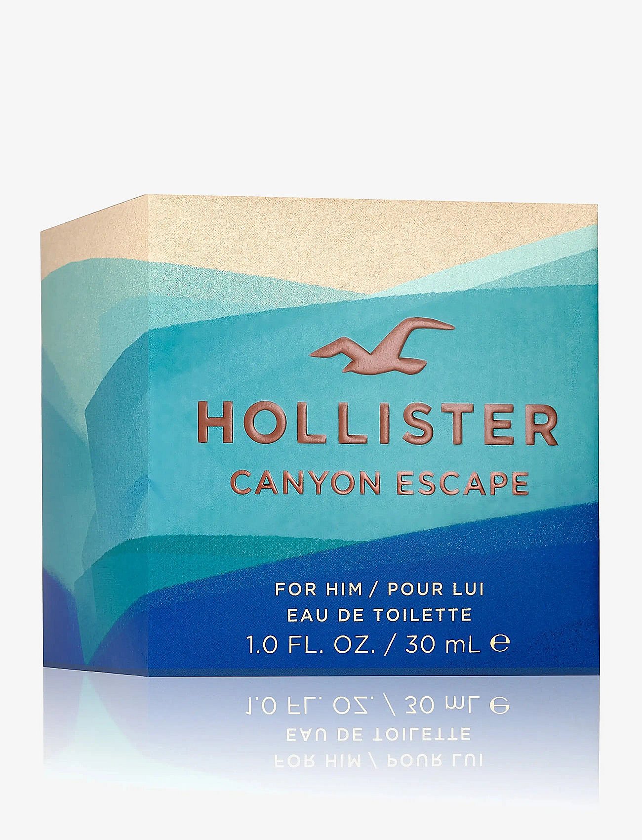 Hollister Co.