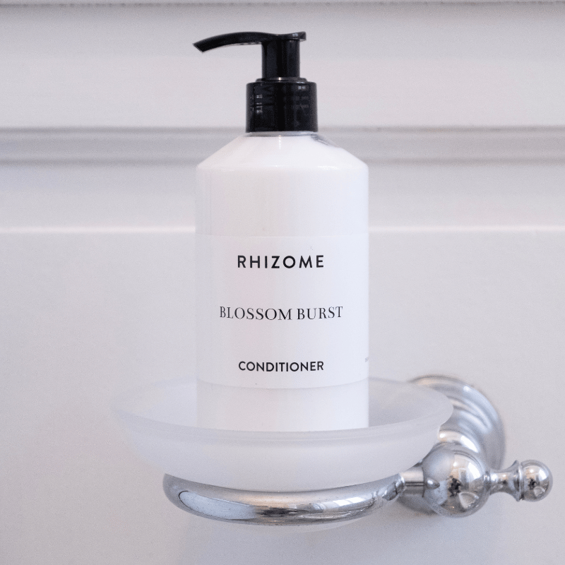 Rhizome