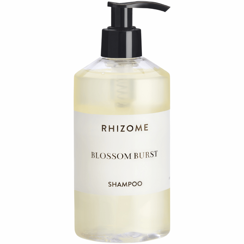 Rhizome