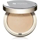 AA Wings of Color Glass Highlighter Bakad highlighter Skugga 02 8 g