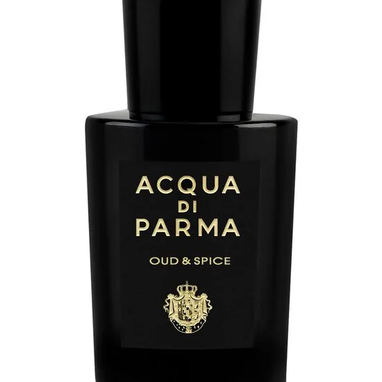 Oud & Spice EdP (Størrelse: 100 ML)