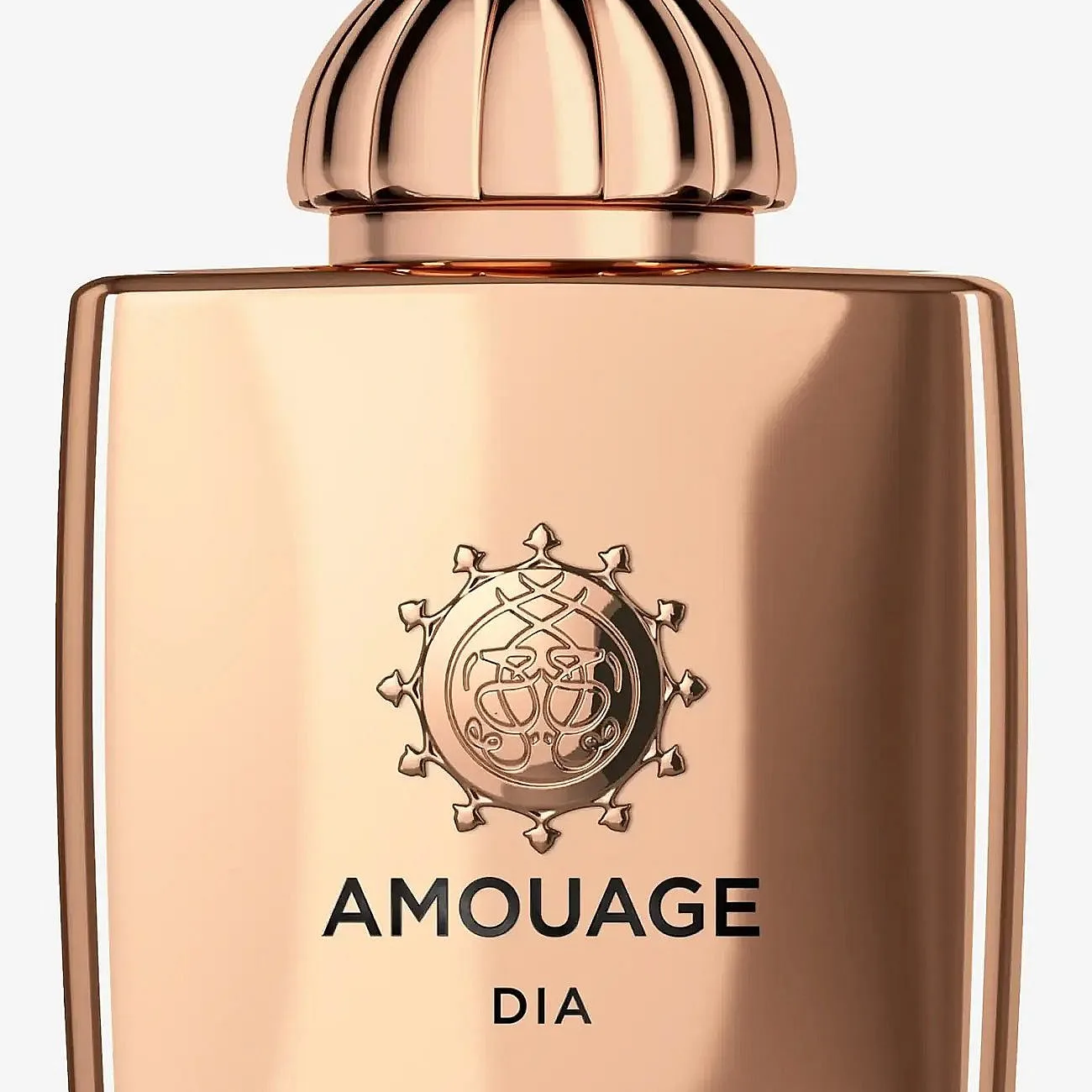 Amouage Dia Woman Eau de Parfum för Kvinnor 100 ml