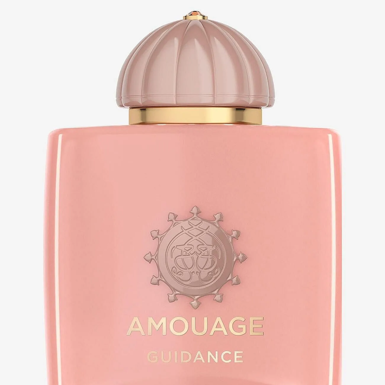 Amouage Guidance Eau de Parfum Unisex 100 ml