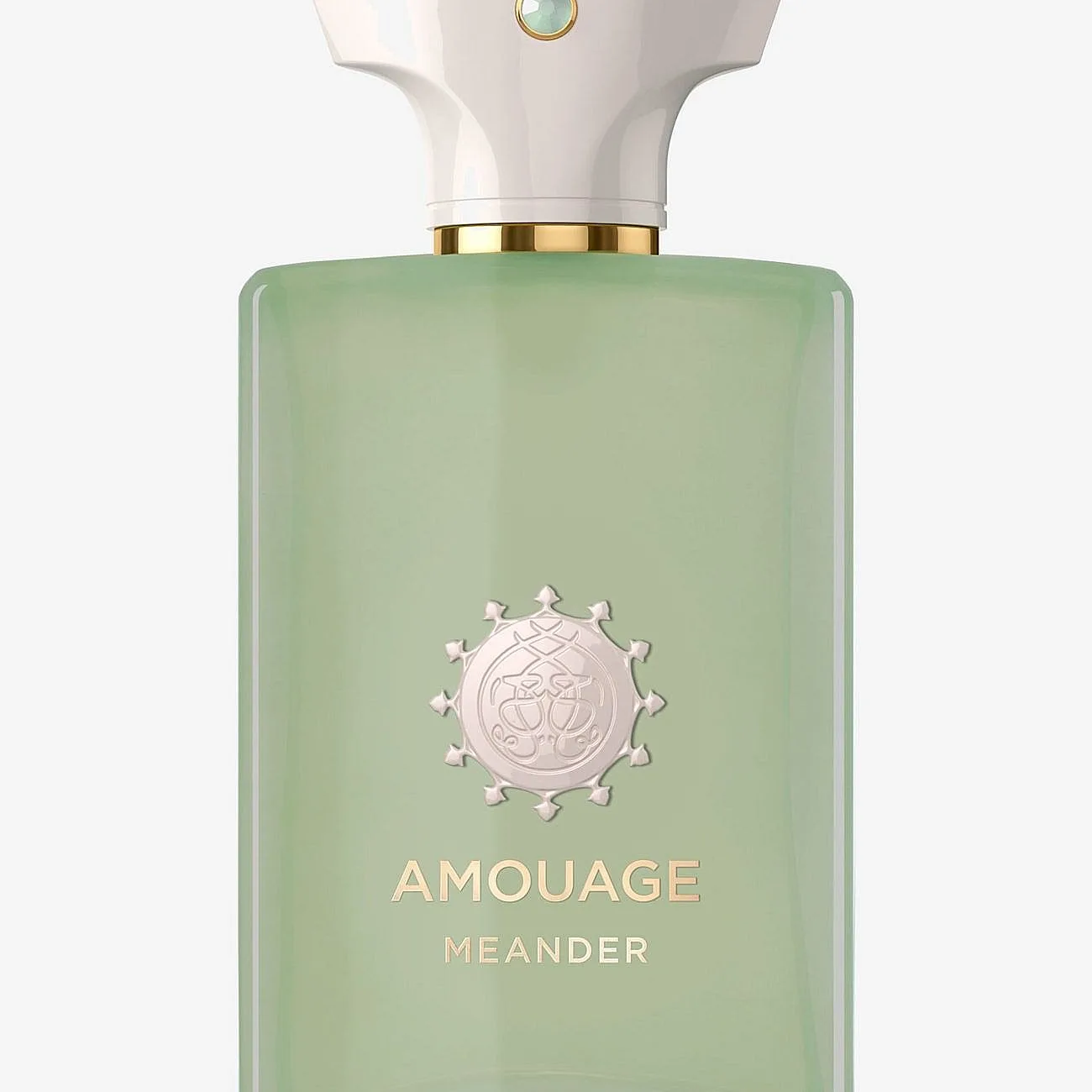 Amouage Amouage Meander Man Edp 100 Ml - Nude - 100 ml