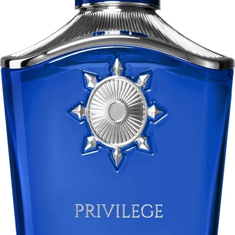 Anfar Privilege perfume extract för män 100 ml