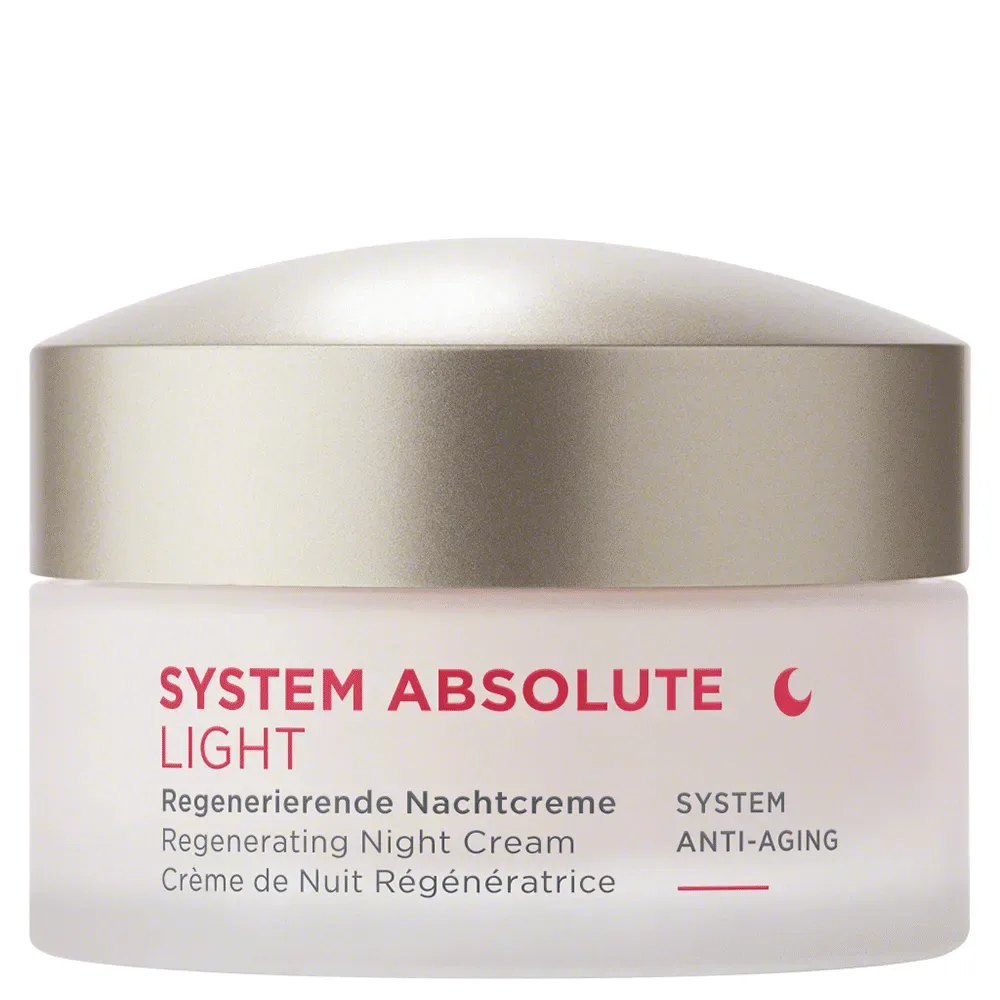 ANNEMARIE BÖRLIND System Absolute Regenerierende Nachtcreme Light Texture