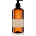 Apivita Dandruff Dry Dandruff Shampoo Anti-skæl shampoo 500 ml