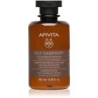 Apivita Dandruff Oily Dandruff Shampoo Anti-skæl shampoo Til fedtet hår 250 ml
