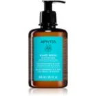 Apivita Hand Care Mild Hand Wash Mild flytande handtvål 300 ml