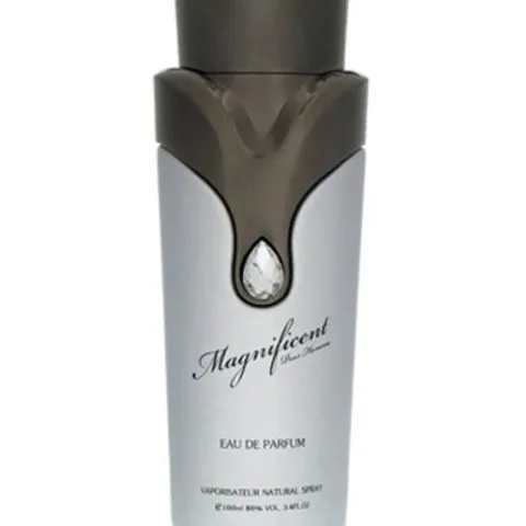 Armaf Magnificent Pour Homme EDP 100 ml