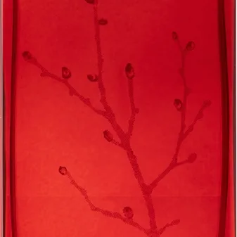 Armand Basi In Red Eau de Parfum til kvinder 100 ml