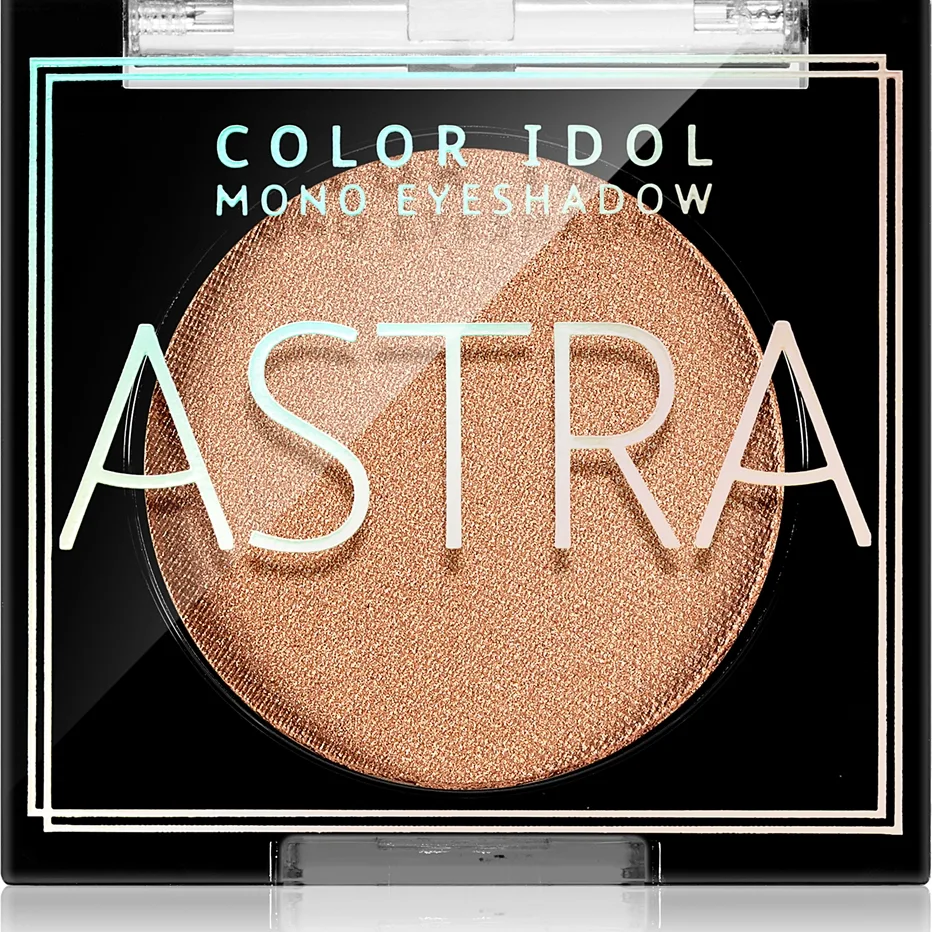 Astra Make-up Color Idol Mono Eyeshadow luomiväri sävy 10 R&B(lack) 2,2 g