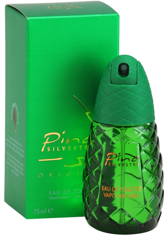 Pino Silvestre