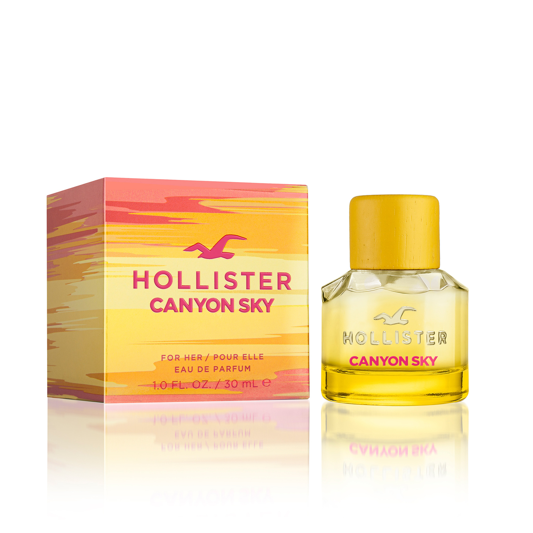 Hollister Co.