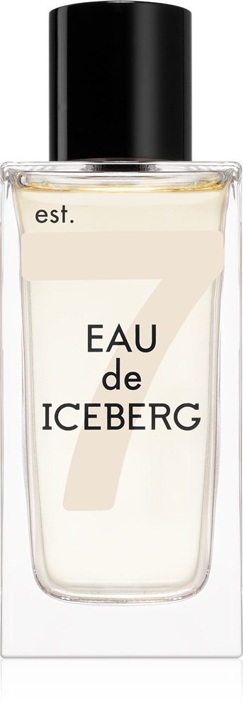 Iceberg