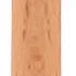 BACHCA Angled contour shader brush