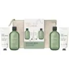 Baylis & Harding Wellness. Energise Presentförpackning för kropp Ginger, Lime & Basil Leaf