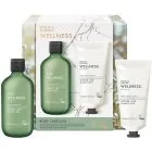 Baylis & Harding Wellness. Energise Presentförpackning för kropp Ginger, Lime & Basil Leaf