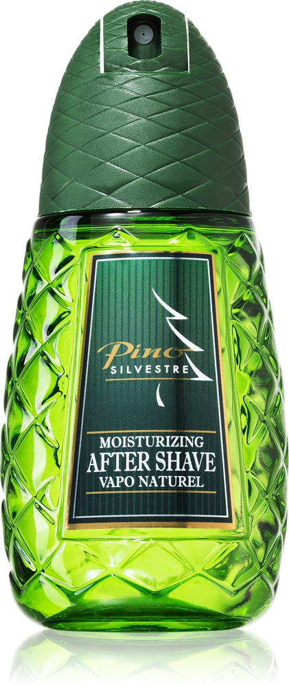 Pino Silvestre