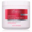 Bielenda Professional Body Program Watermelon Nourishing Mask 3in1 Intensiv fuktgivare och näringsgivande mask för kropp 600 ml
