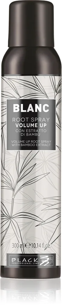 Black Professional Line Line Volume Up Root Spray Volumenspray für feines Haar 300 ml
