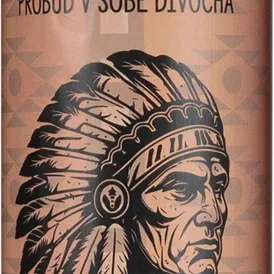 Bohemia Gifts & Cosmetics Apache Tvätt-gel 4-i-1 för män 400 ml