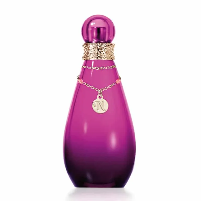 Britney Spears Fantasy The Naughty Remix Edp 100ml