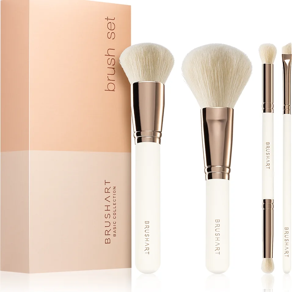 BrushArt Basic Brush set Set av borstar 4 st.