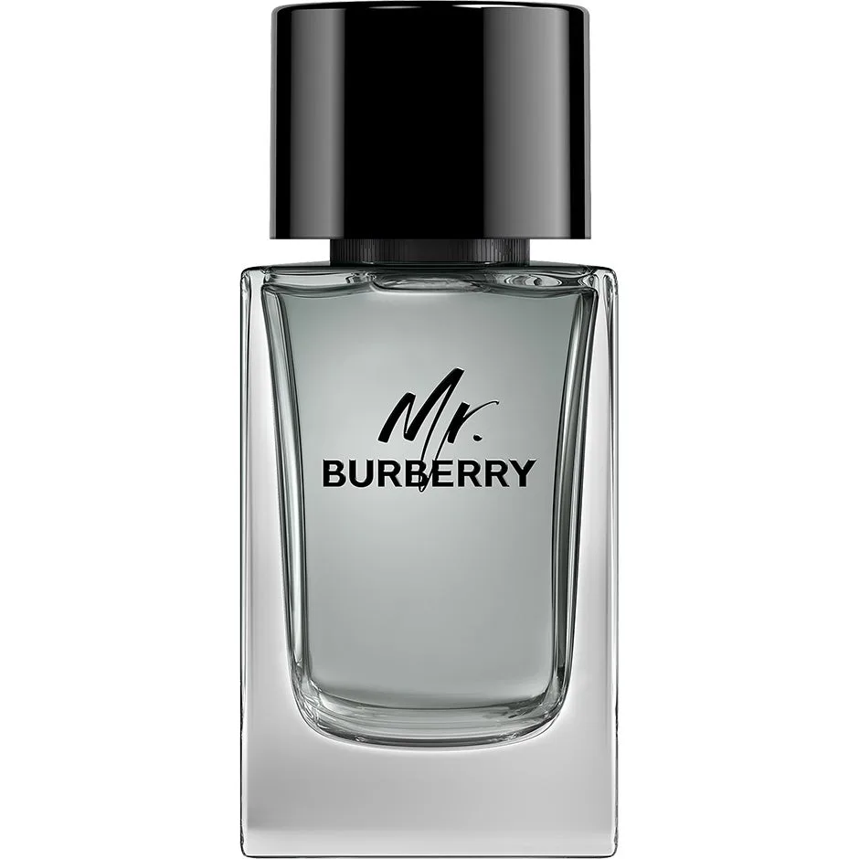 Burberry Mr. Burberry Eau de Toilette - 100 ml