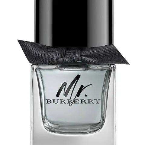 Burberry Mr. Burberry Edt 50ml