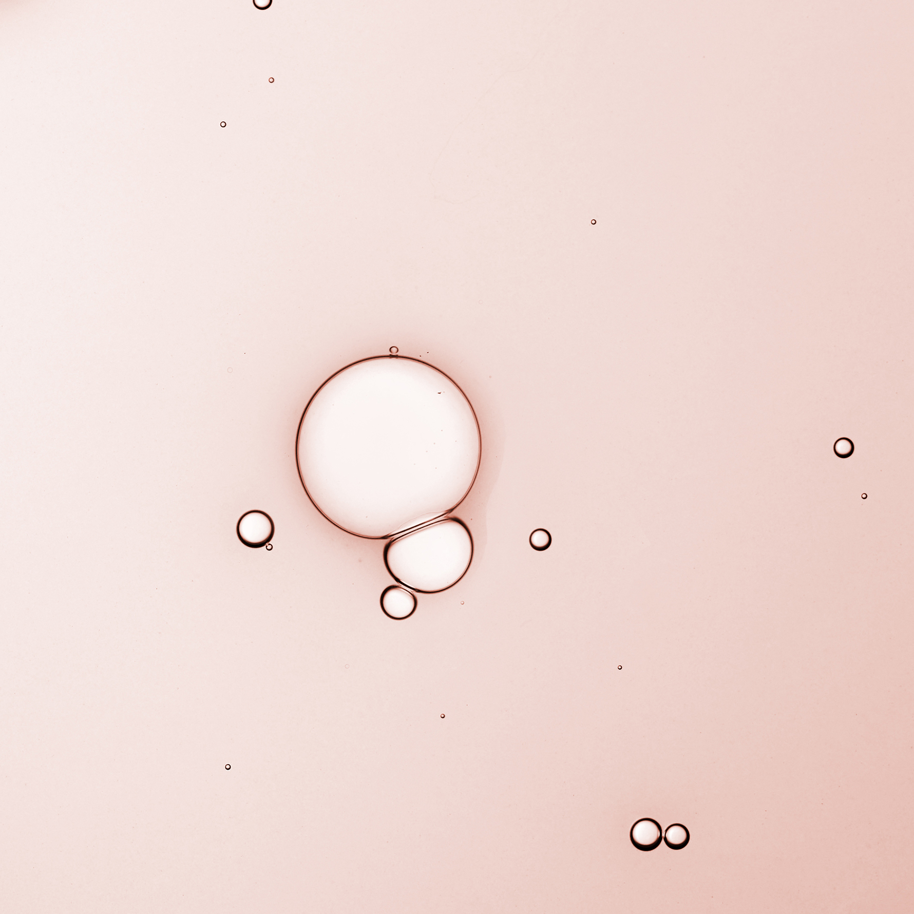 KORA Organics