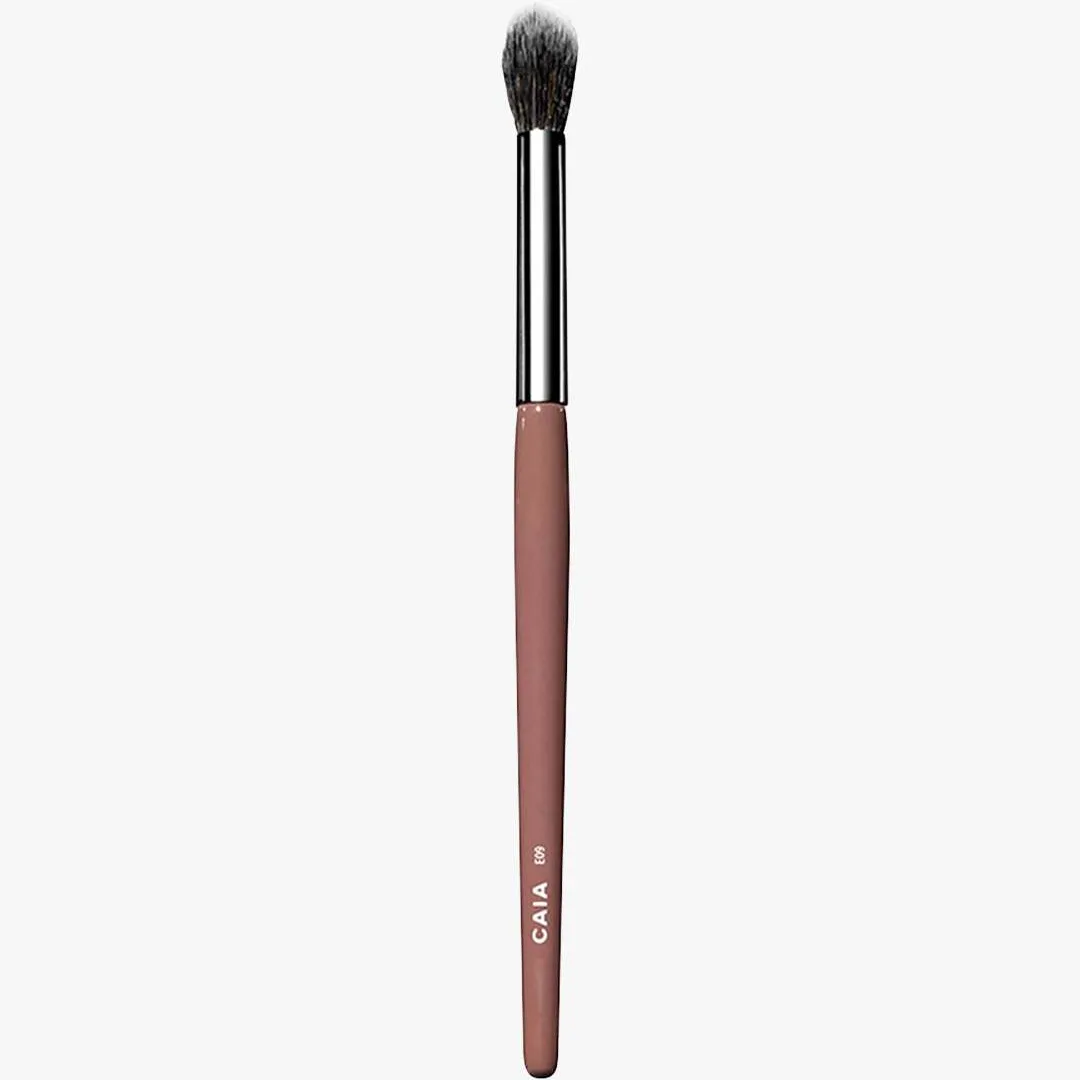 Blender Brush E09