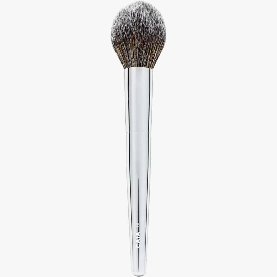 Pointed Powder Brush F10