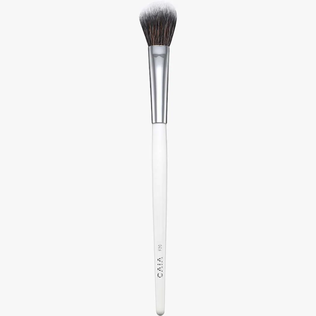 Precision Setting Brush F20