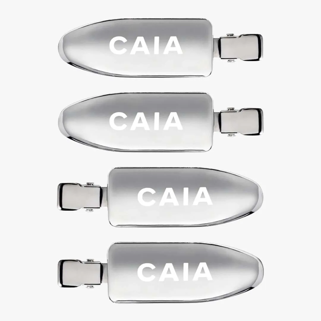 Silver Hair Clips