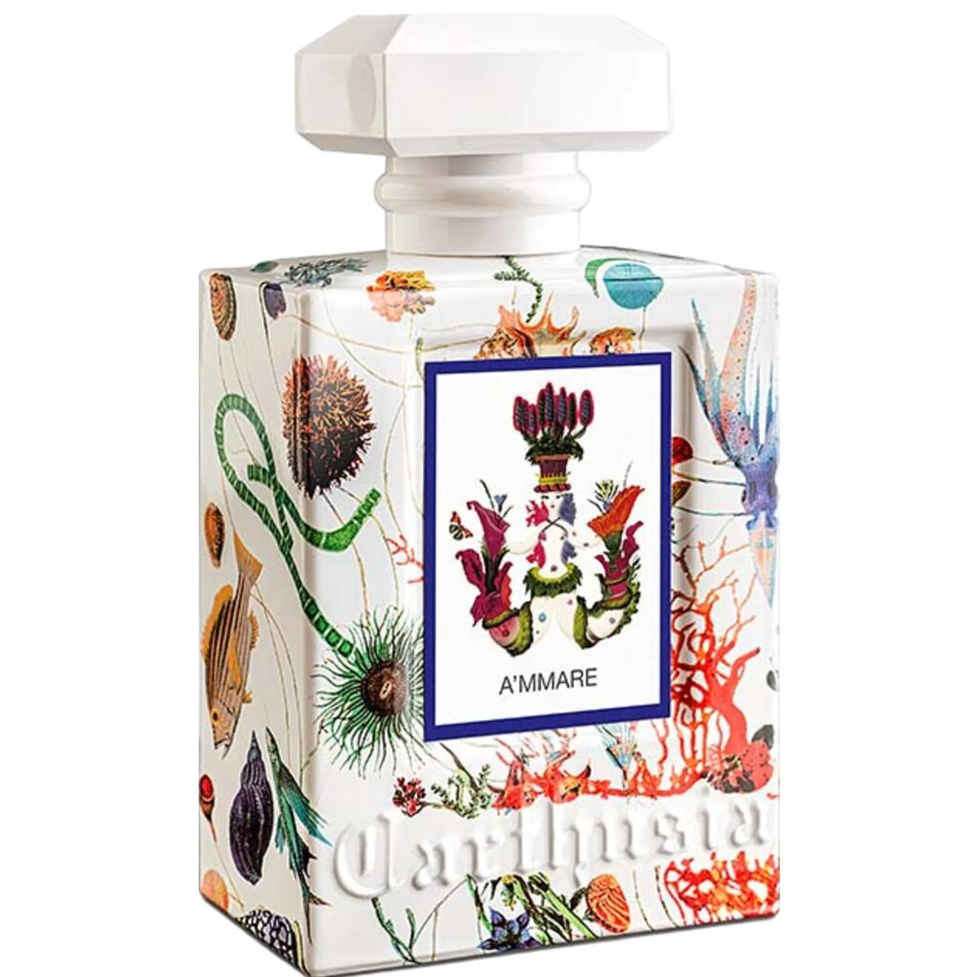 Carthusia A'mmare Eau de Parfum