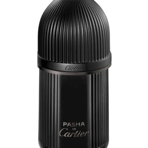 Cartier Pasha De Cartier Noir Absolu Parfum EDP 100 ml