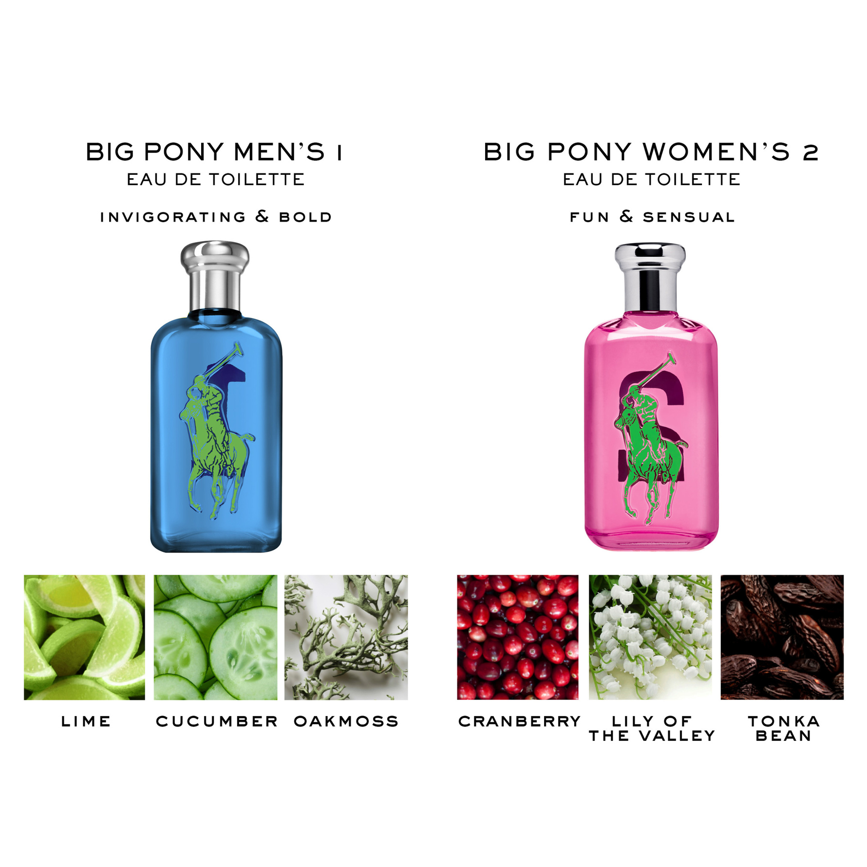 Ralph Lauren - Fragrance