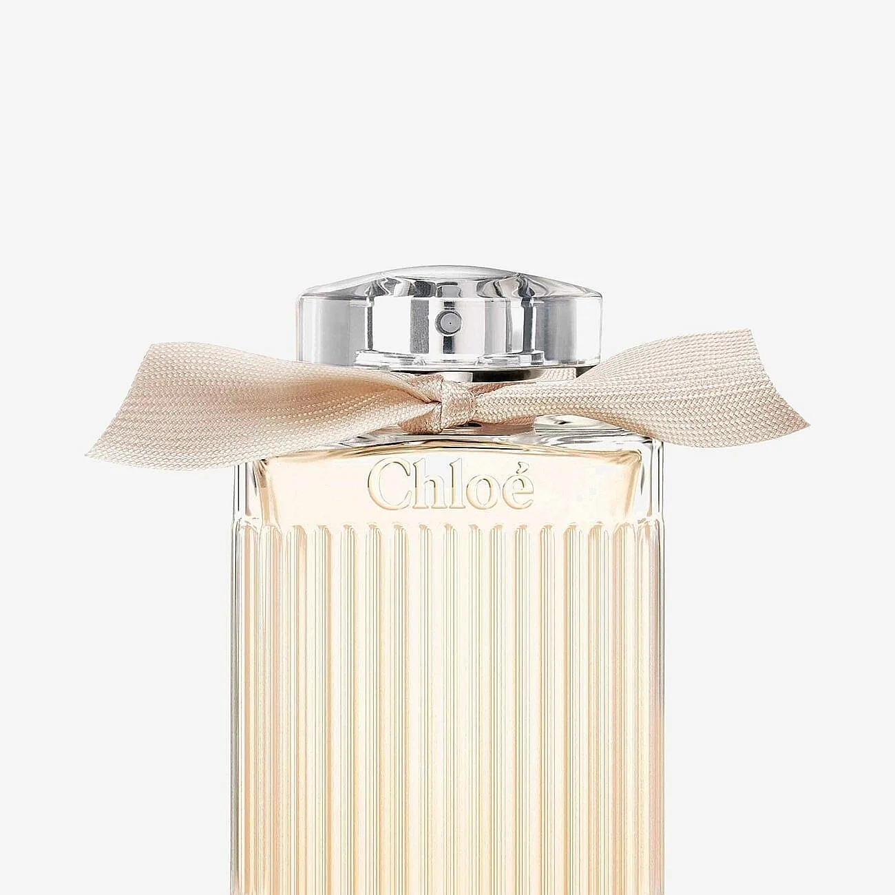 Chloé Eau De Parfum (100 ml)
