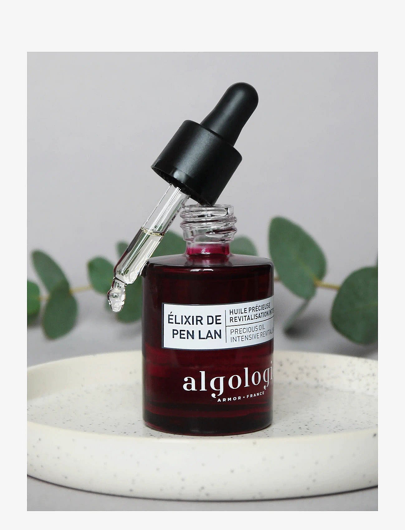 Algologie