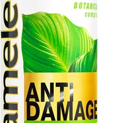 Delia Cosmetics Cameleo BB Keratin Shampoo Til skadet hår 250 ml