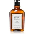 DEPOT 100 HAIR CLEANSING NO. 101 NORMALIZING DAILY SHAMPOO Normaliserande schampo för daglig användning 250 ml